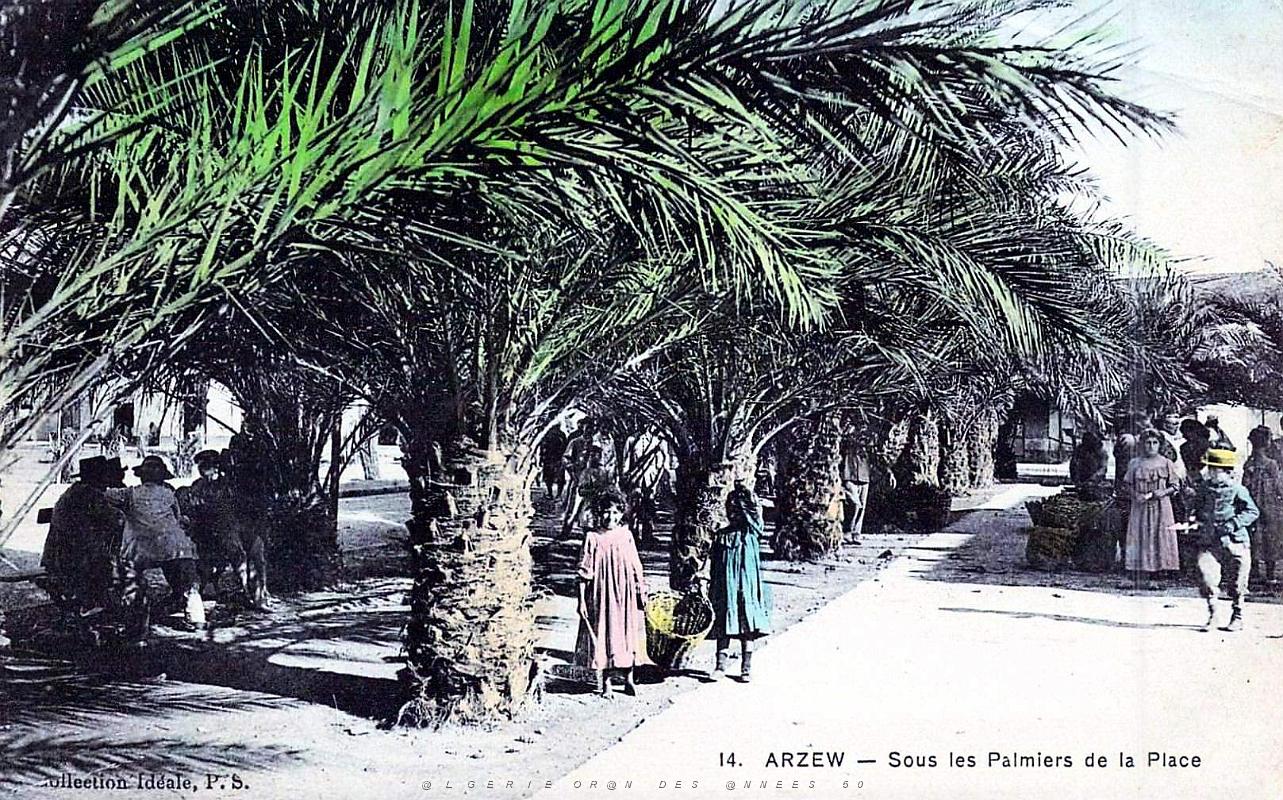 Arzew - Sous les Palmiers de la Place - 1913.jpg